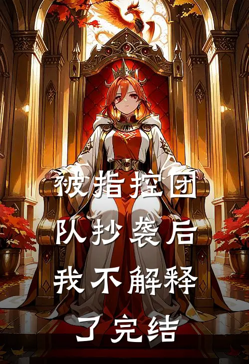 被指控团队抄袭后，我不解释了完结