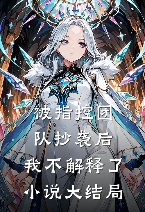 被指控团队抄袭后，我不解释了小说大结局