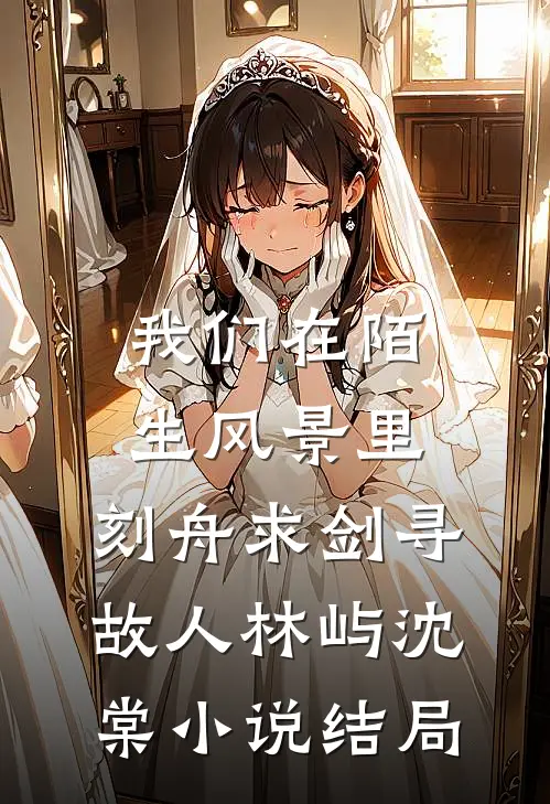 我们在陌生风景里，刻舟求剑寻故人林屿沈棠小说结局
