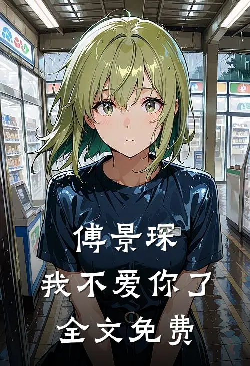 傅景琛,我不爱你了全文免费阅读