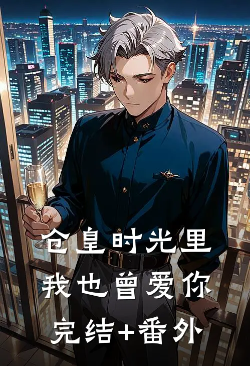 仓皇时光里，我也曾爱你完结+番外