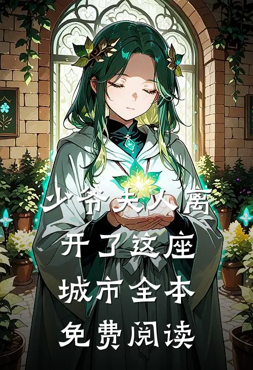 少爷夫人离开了这座城市全本免费阅读