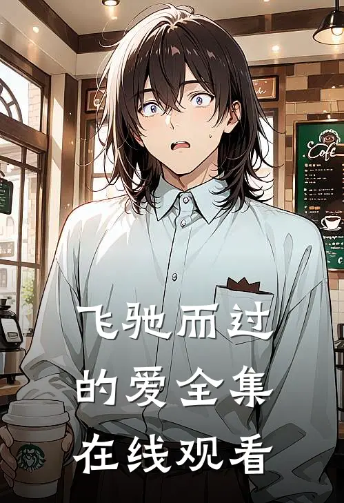飞驰而过的爱 全集在线观看