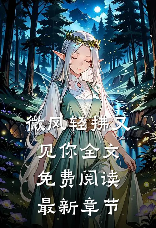 微风轻拂又见你全文免费阅读最新章节