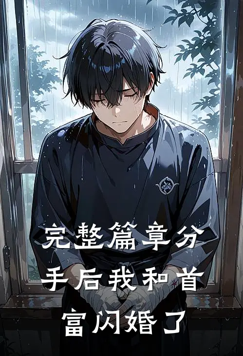 完整篇章分手后我和首富闪婚了