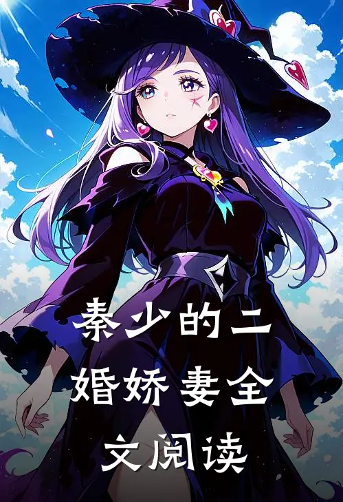 秦少的二婚娇妻全文阅读