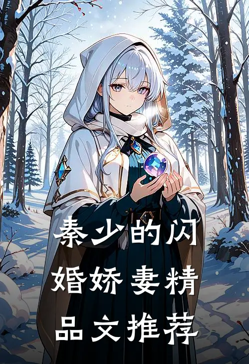 秦少的闪婚娇妻精品文推荐