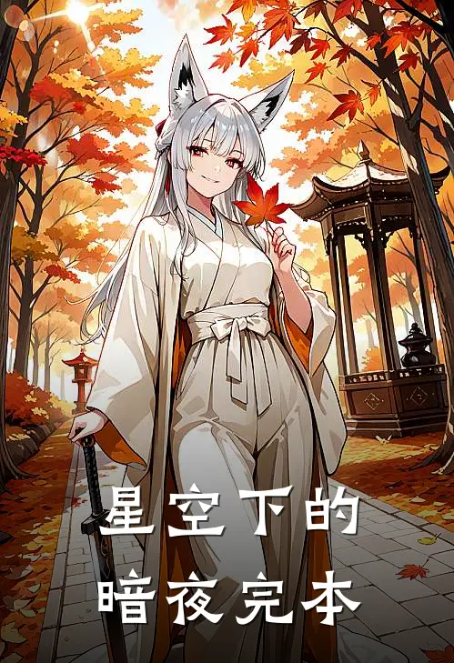 星空下的暗夜完本