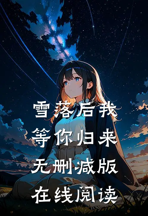 雪落后我等你归来无删减版在线阅读