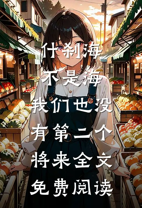 什刹海不是海，我们也没有第二个将来全文免费阅读