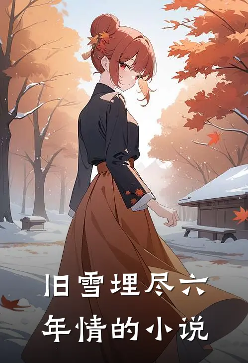 旧雪埋尽六年情的小说