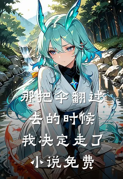 那把伞翻过去的时候，我决定走了小说免费