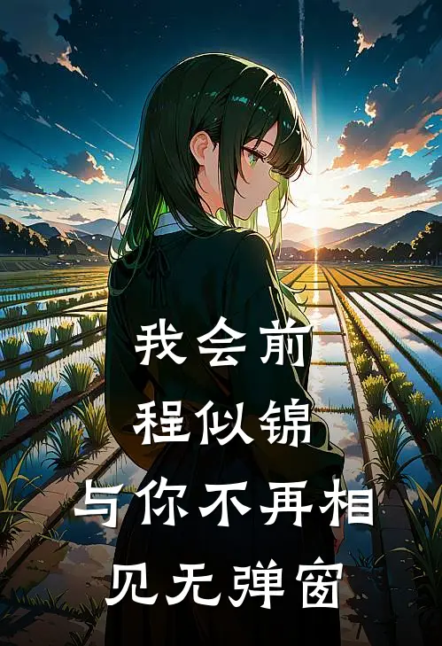 我会前程似锦，与你不再相见无弹窗