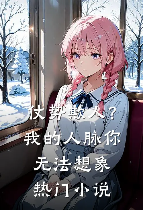 仗势欺人？我的人脉你无法想象热门小说