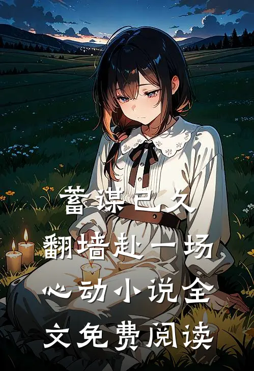 蓄谋已久，翻墙赴一场心动小说全文免费阅读