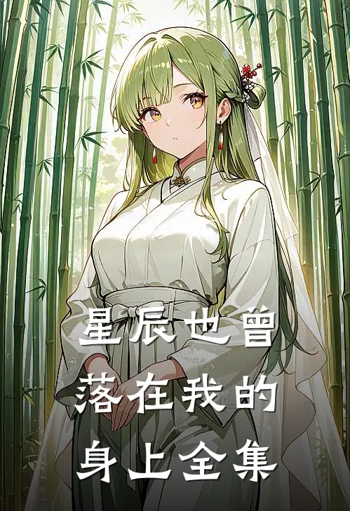 星辰也曾落在我的身上全集