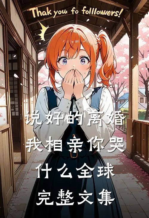 说好的离婚，我相亲你哭什么全球完整文集