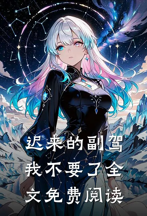 迟来的副驾，我不要了全文免费阅读
