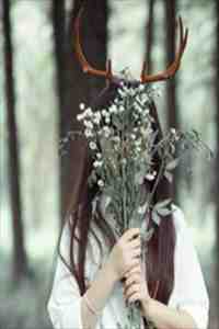 侯府皆绿帽，吃瓜主母爽翻天无错版