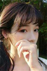 绝字入归鸟全文免费