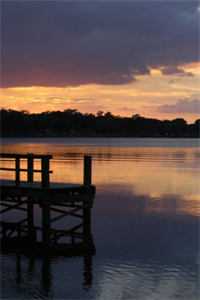 被抹杀后，3个攻略对象悔疯了全文无删减