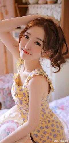 风起时不问归期全本