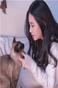 忽有故人心上过后续+番外