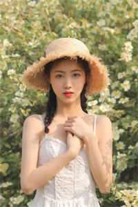 明月相照桑榆已晚好书