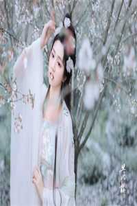 我事业巅峰时，前夫为崽发狂良心推荐