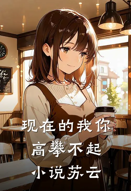 现在的我你高攀不起小说苏云