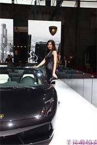 未婚妻和男闺蜜在酒吧领证，我摇骰子让他们倾家荡产试读