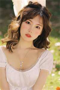 雁北回南爱未归推荐