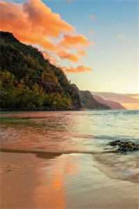 不再是你的笼中雀最新热门小说