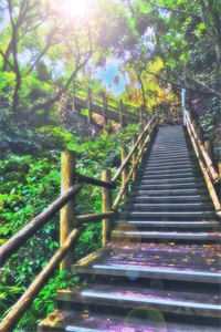 竹马变心后，入宫嫁帝王当他母后结局+番外