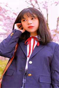 从此月沉不相逢全文阅读最新