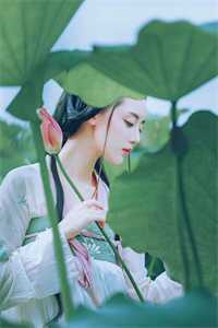 上司在救护车上沿途拍照耽误40分钟，得知真相后她悔疯了全文无删减