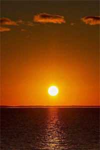 栀子盛开又凋落爆款宝藏