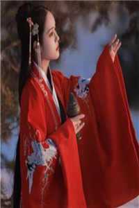 宰辅养成记！他的才能无人能敌在线