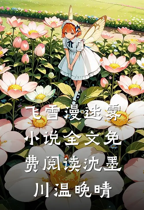 飞雪漫迷雾小说全文免费阅读沈墨川温晚晴