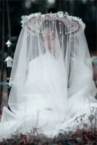 况逢一封花信无删减+无广告