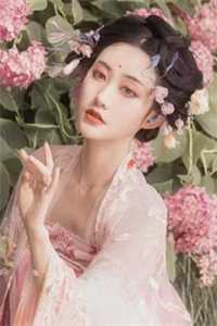 愿我如星君如月全文免费