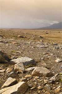 雁过残阳不逢君在线阅读