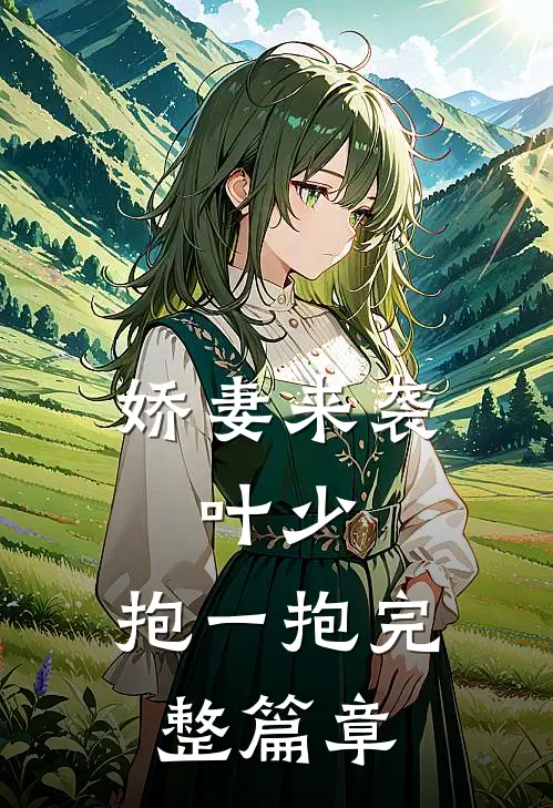 娇妻来袭叶少,抱一抱完整篇章