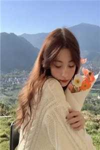 雁北回南爱未归广告+结局