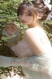 候鸟向北，铃兰向南全文免费