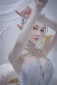 绝字入归鸟完结文