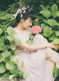 风起时，花落成殇后续+完结