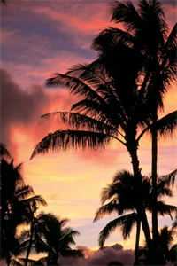 半生霜雪路，一世不同归目录