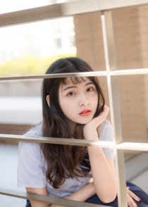 十三载淡彩总诉情的小说