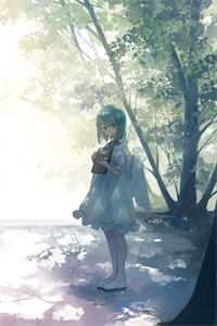 扶摇鹤南飞抖音热门